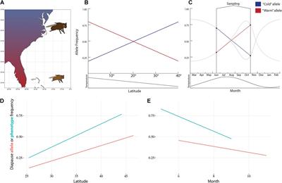 Genomic Responses to Climate Change: Making the Most of the Drosophila Model